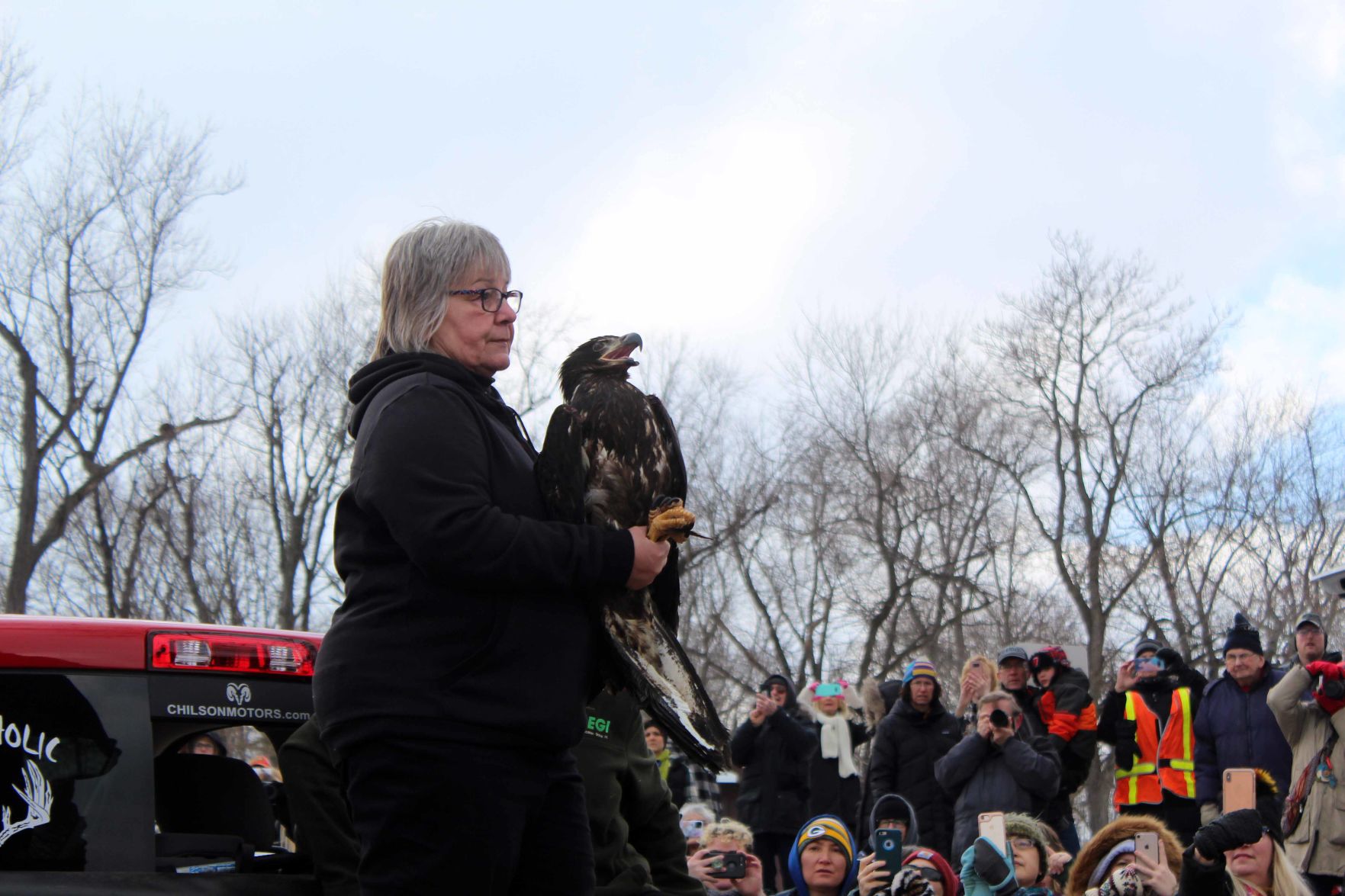 021320-sauk-gallery-eagle019.jpg